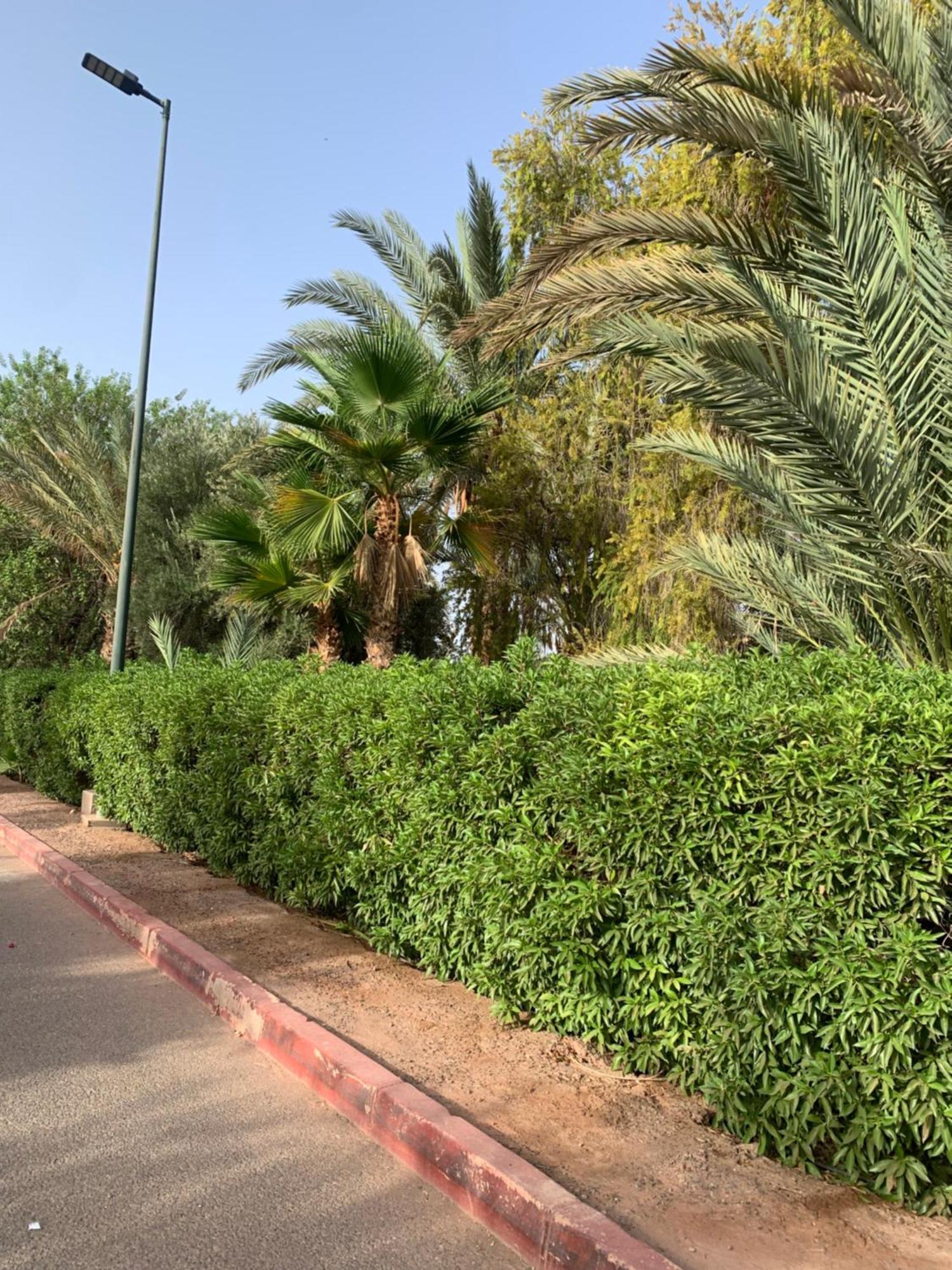 Villa Avec Piscine Privatisee A La Palmeraie Marrakesch